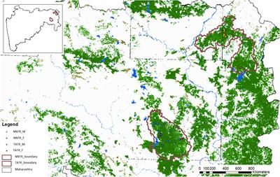 Genetic evidence of differential dispersal pattern in the Asiatic wild dog: Comparing two populations with different pack sizes
